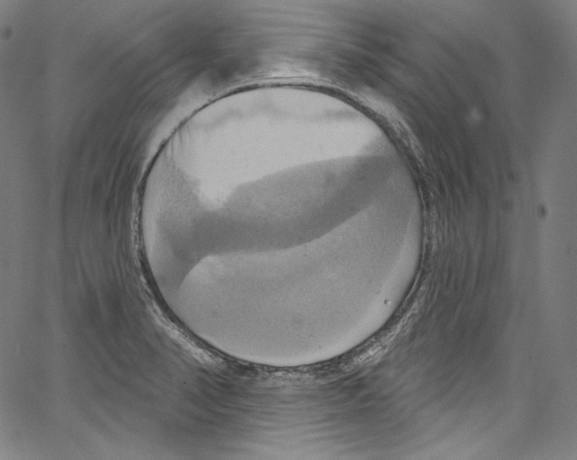 X0000067351374200604281431