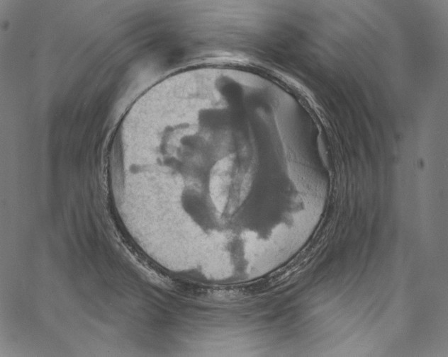 X0000067351375200604281431