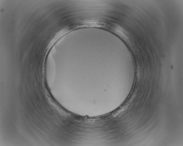 X0000067351378200604281431