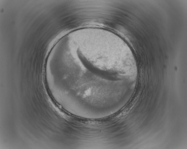 X0000067351379200604281431