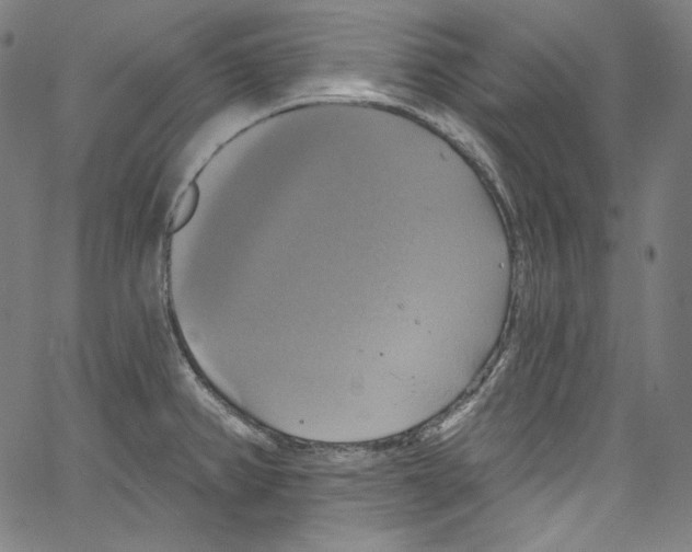 X0000067351382200604281431