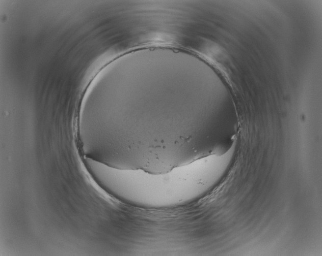 X0000067351383200604281431