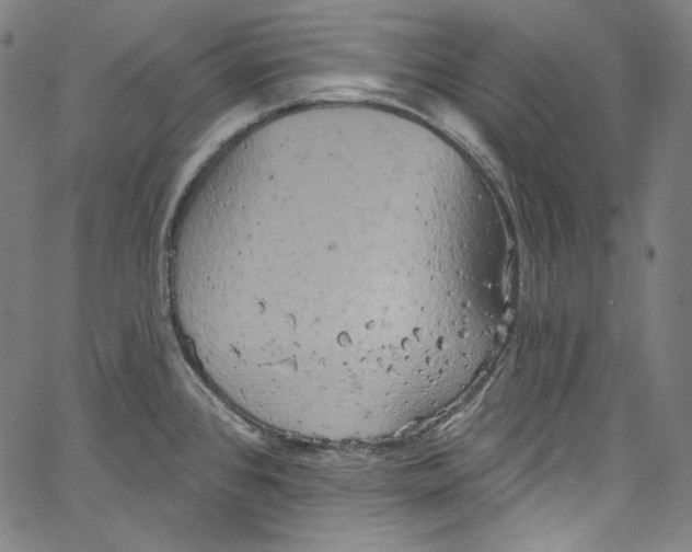 X0000067351384200604281431