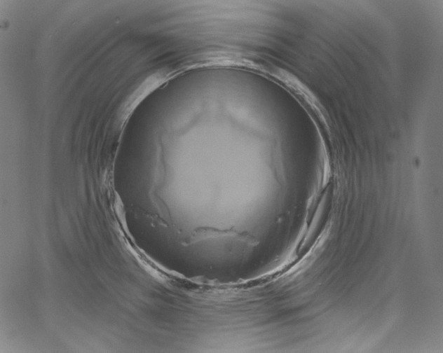 X0000067351385200604281431