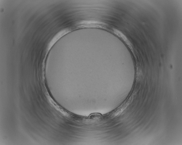 X0000067351386200604281431