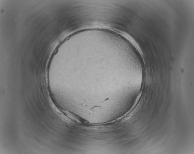 X0000067351388200604281431