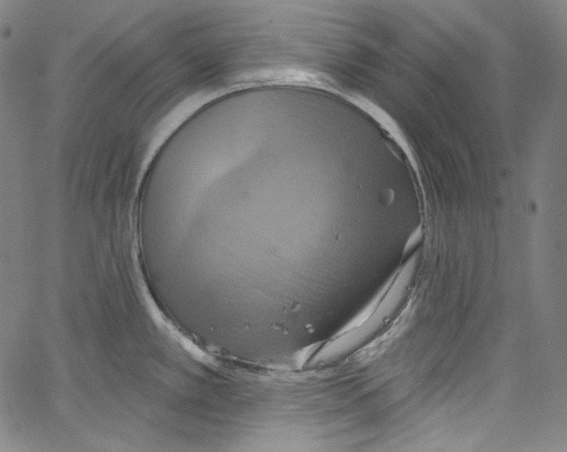 X0000067351389200604281431