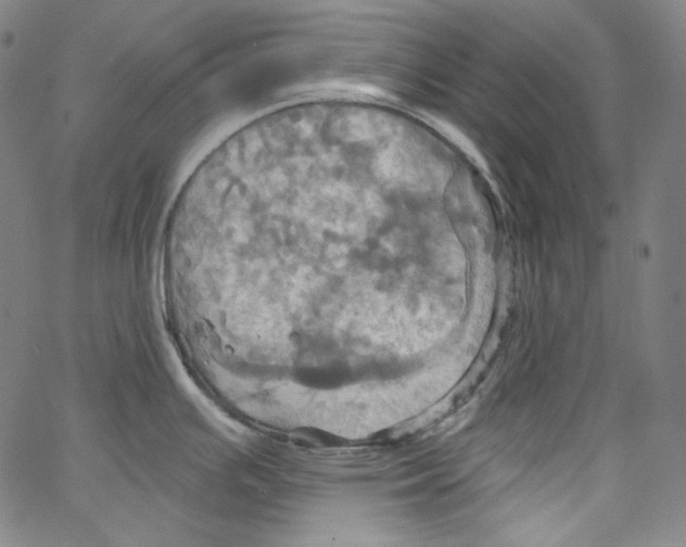 X0000067351391200604281431