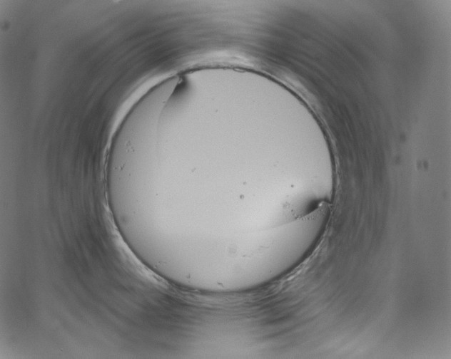 X0000067351392200604281431