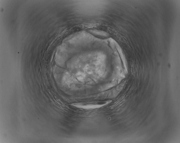 X0000067351393200604281430