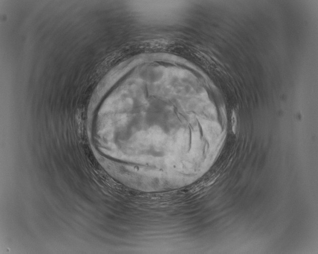 X0000067351395200604281430