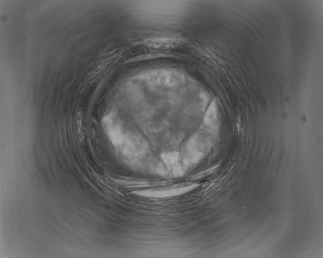 X0000067351396200604281430