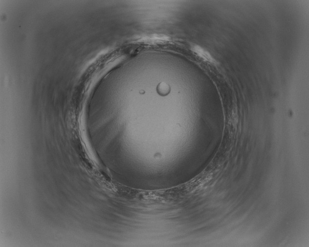 X0000067351398200604281430