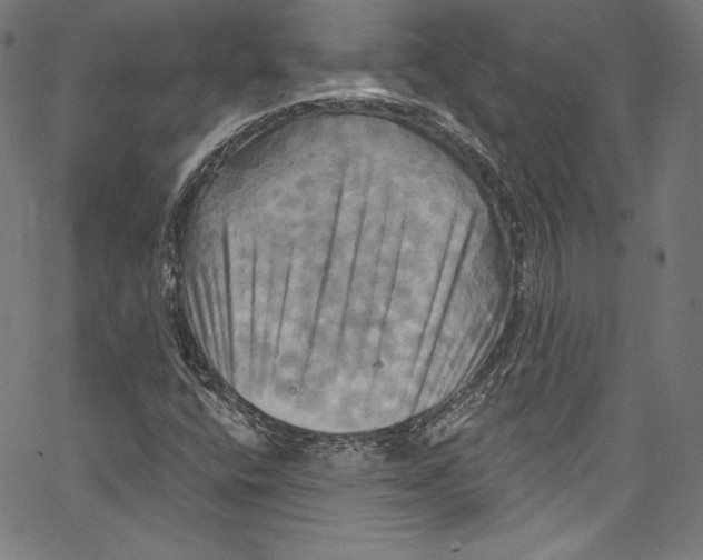 X0000067351400200604281430