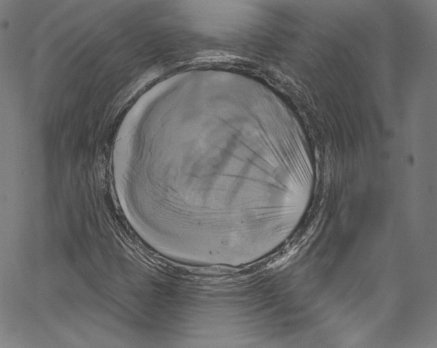 X0000067351401200604281430