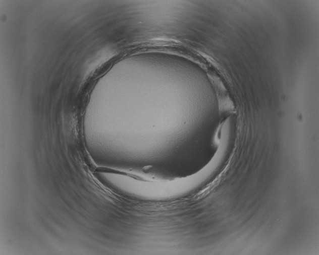 X0000067351402200604281430