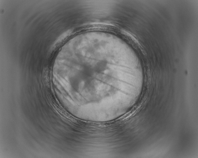 X0000067351403200604281430