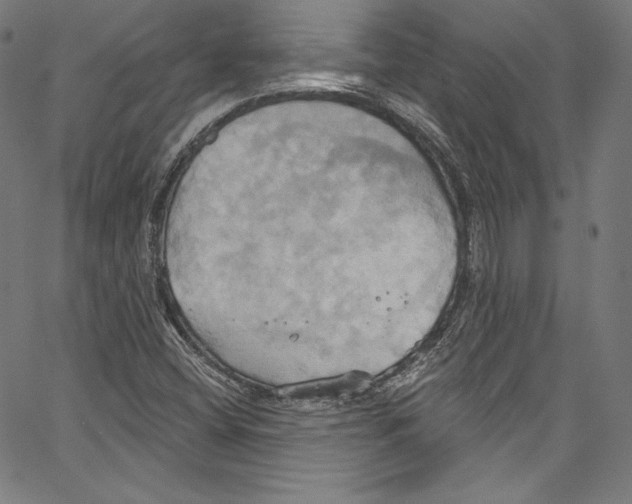 X0000067351404200604281430