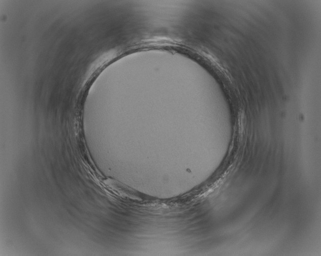 X0000067351405200604281430