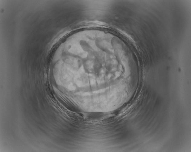 X0000067351407200604281430