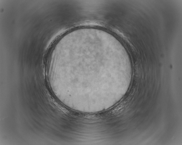 X0000067351408200604281430