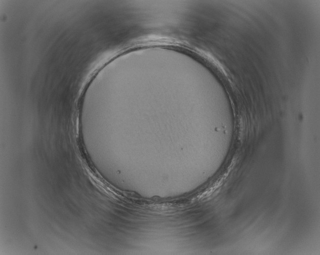 X0000067351413200604281430