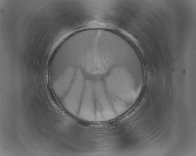 X0000067351415200604281430