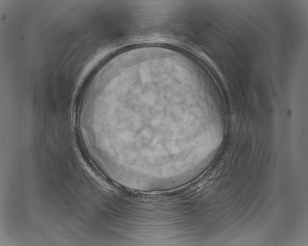 X0000067351416200604281430