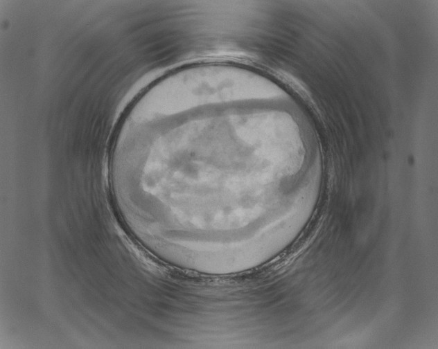 X0000067351420200604281430