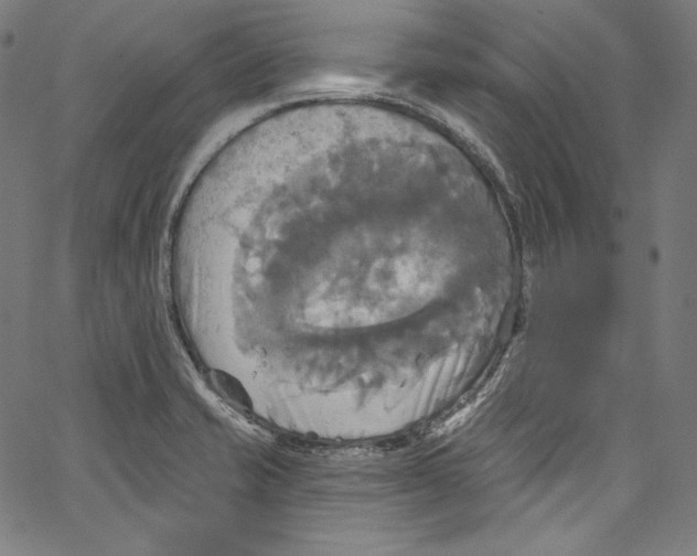 X0000067351421200604281430