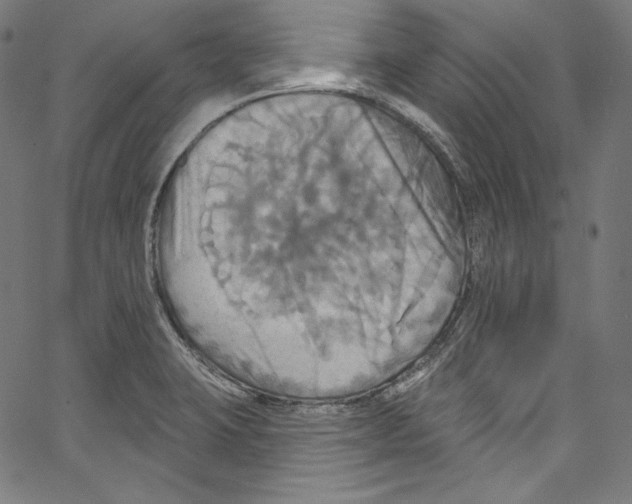 X0000067351423200604281430