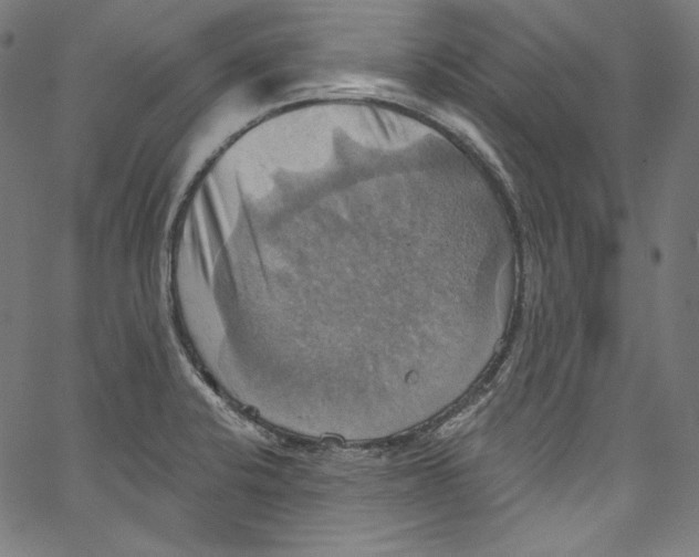 X0000067351424200604281430