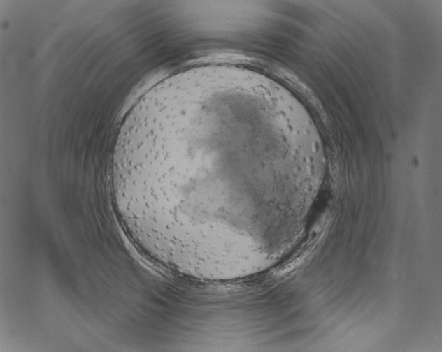 X0000067351425200604281430