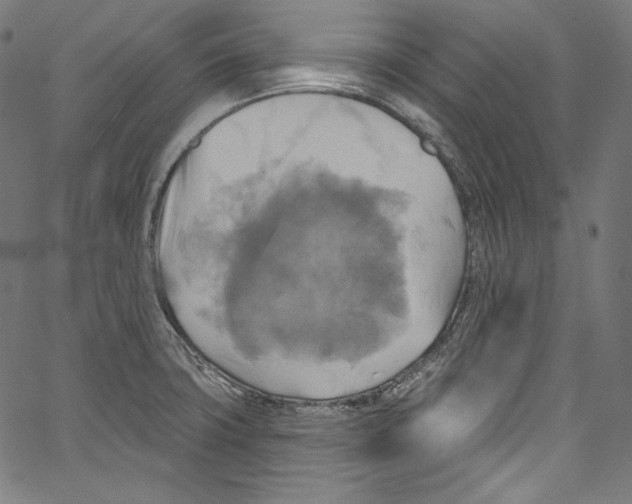 X0000067351427200604281430