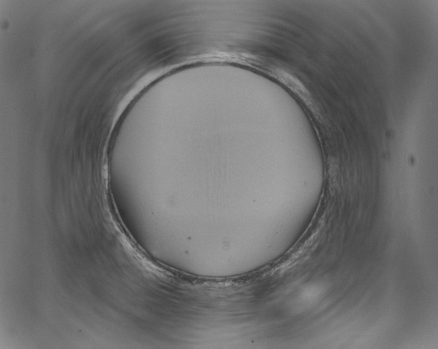 X0000067351428200604281430