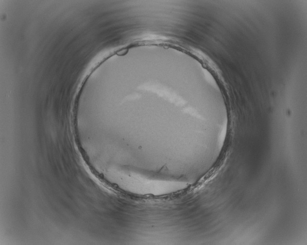 X0000067351429200604281430