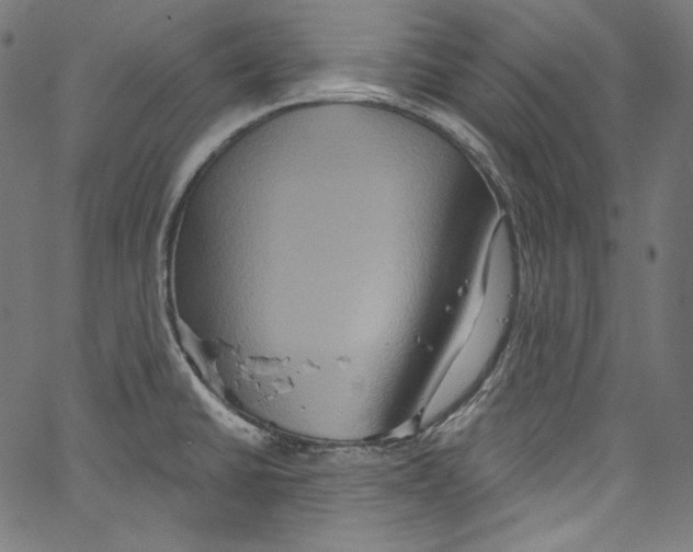 X0000067351430200604281430