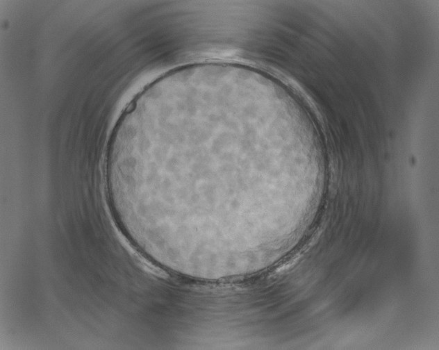 X0000067351432200604281430