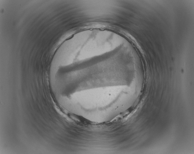 X0000067351433200604281430