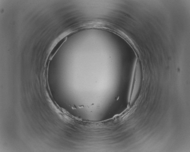 X0000067351434200604281430