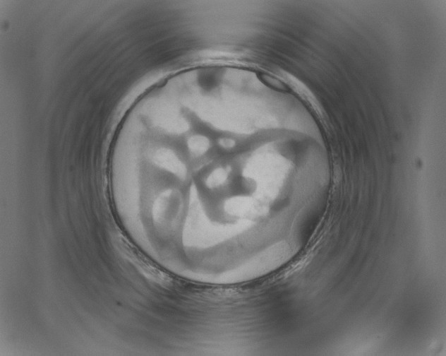 X0000067351435200604281431