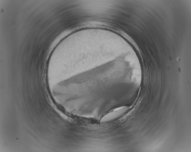 X0000067351437200604281431