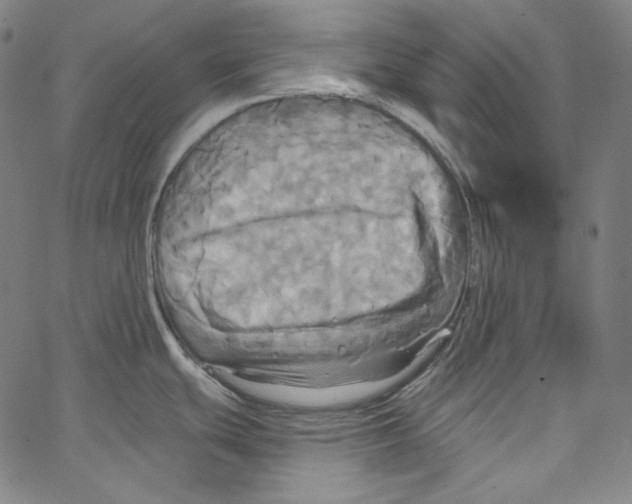 X0000067351439200604281431