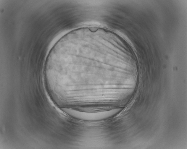 X0000067351440200604281431