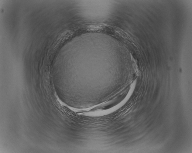 X0000067351441200604281430