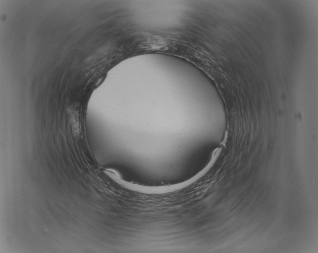 X0000067351442200604281430