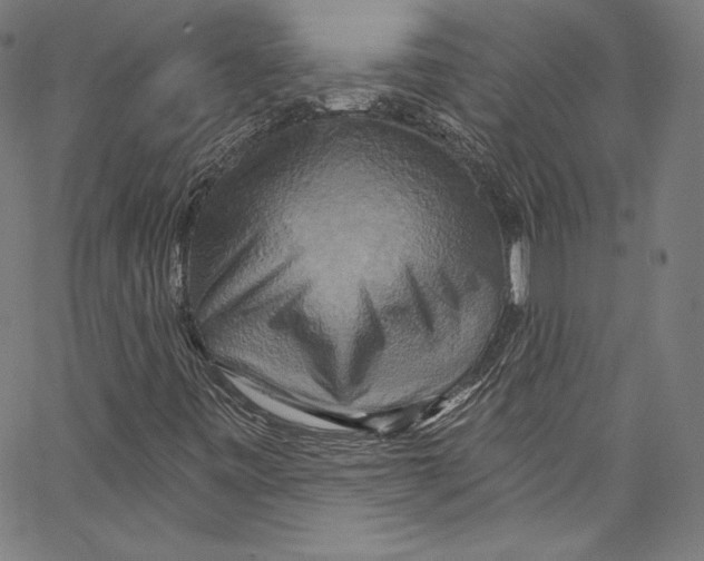 X0000067351443200604281430