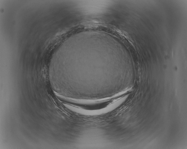 X0000067351445200604281430