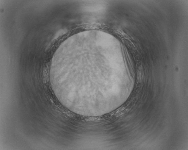 X0000067351446200604281430