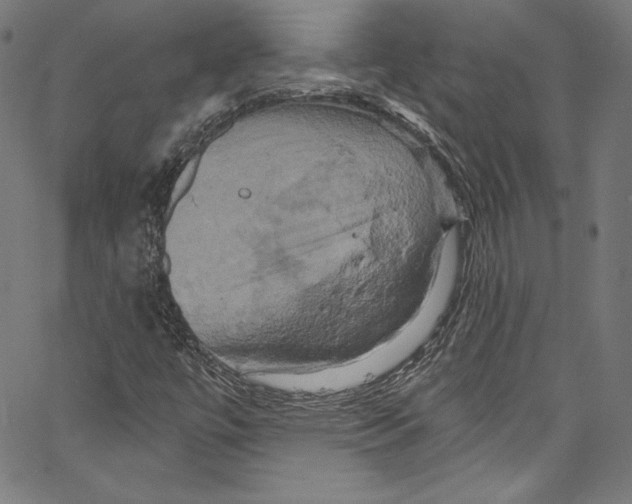 X0000067351447200604281430